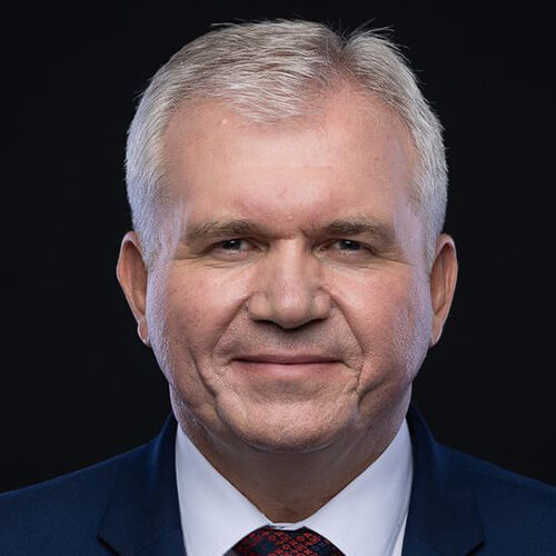 prof. dr hab. inż. Marek Borowski