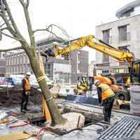 6_TreeTank project in Hasselt - from installation to final result